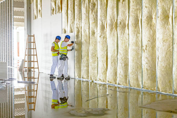 Best Residential Insulation in Kalona, IA